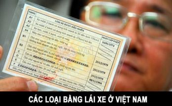 hình ảnh bằng lái xe ở nước ta