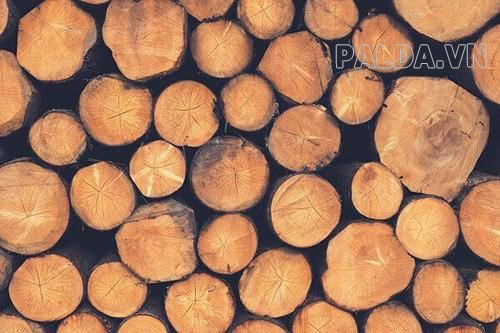 Bảo quản gỗ như thế nào