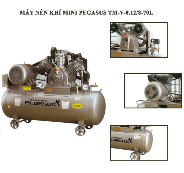 Cấu tạo của máy bơm hơi PEGASUS TM-V-0.12/8-70L