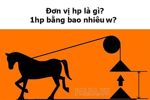 1-hp-bang-bao-nhieu-w-4