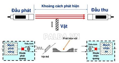 cam-bien-quang-thu-phat-doc-lap-2