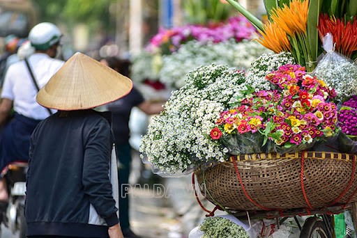 Những gánh hàng hoa cúc họa mi phổ biến vào tháng 10/11 tại Hà Nôi