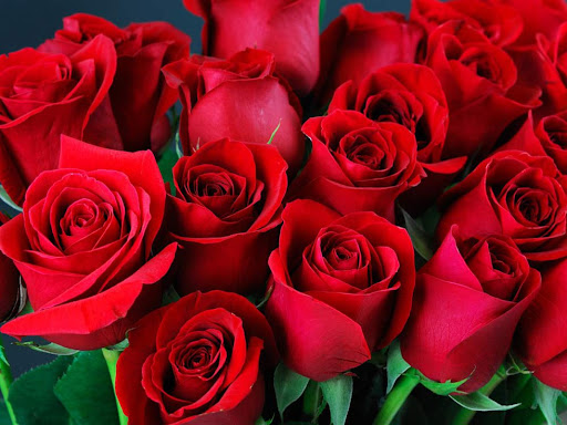Bạn đã biết ý nghĩa chung các loài hoa màu đỏ chưa?
