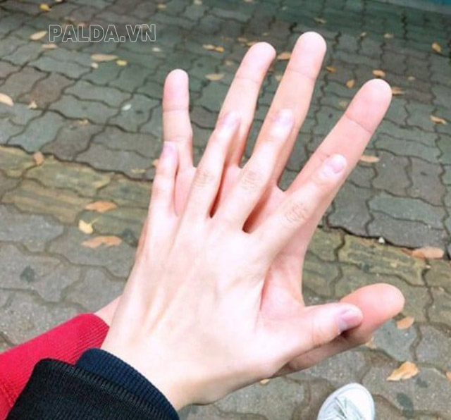 Tình yêu của hai cung cũng có sự khác nhau