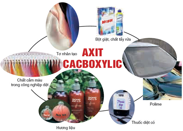Các loại axit được sử dụng phổ biến trong các lĩnh vực công nghiệp
