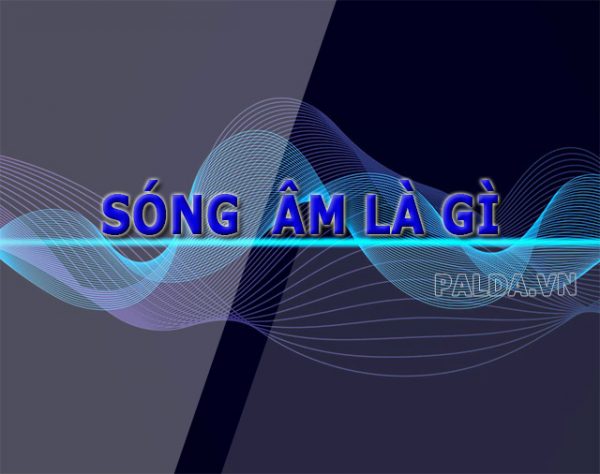[Giải đáp] Loài nào nghe được hạ âm