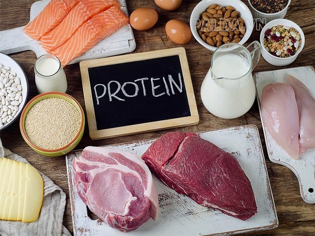 Thêm Protein để tăng cường chuyển hóa, giảm calo cần nạp vào cơ thể