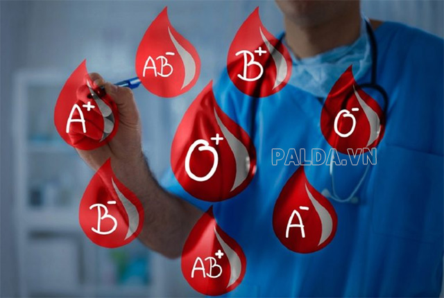 Các nhóm máu theo hệ ABO và hệ Rh hiện nay